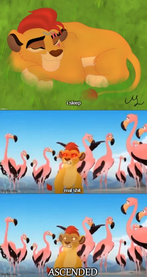 Sleeping Kion I sleep real shit ASCENDED Blank Meme Template