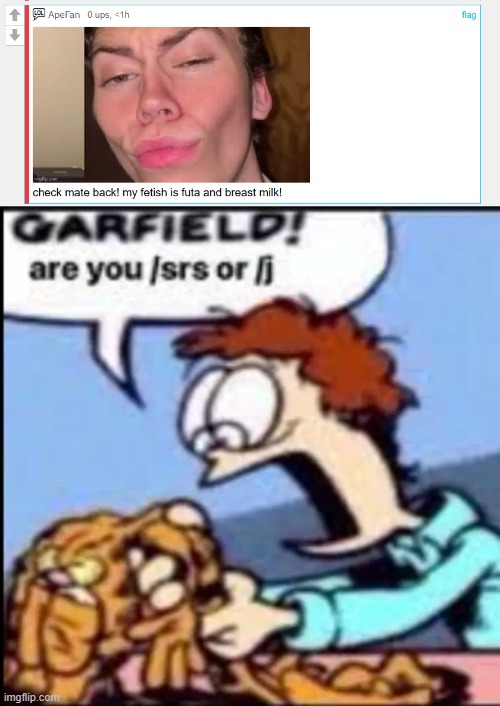 image tagged in garfield are you /srs or /j | made w/ Imgflip meme maker