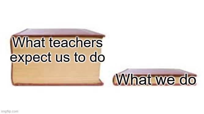 Big book small book | What teachers expect us to do; What we do | image tagged in big book small book | made w/ Imgflip meme maker