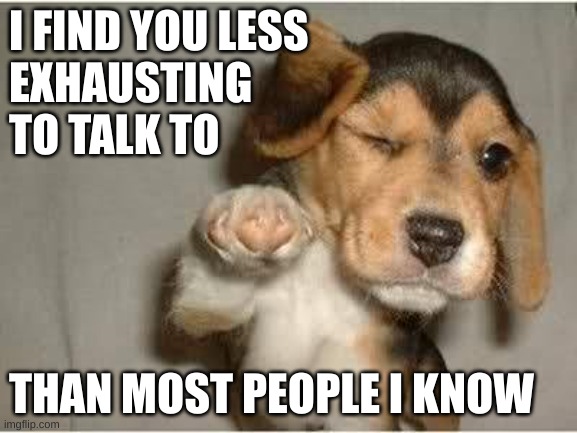 Who's awesome? You're awesome [introvert version] | I FIND YOU LESS
EXHAUSTING
TO TALK TO; THAN MOST PEOPLE I KNOW | image tagged in winking puppy,introvert,humor,awesome | made w/ Imgflip meme maker