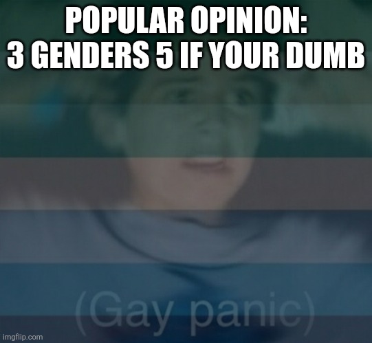 2 is to few 3 is perfect | POPULAR OPINION: 3 GENDERS 5 IF YOUR DUMB | image tagged in gay panik | made w/ Imgflip meme maker