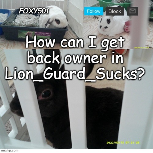 Foxy501 announcement template | How can I get back owner in Lion_Guard_Sucks? | image tagged in foxy501 announcement template | made w/ Imgflip meme maker