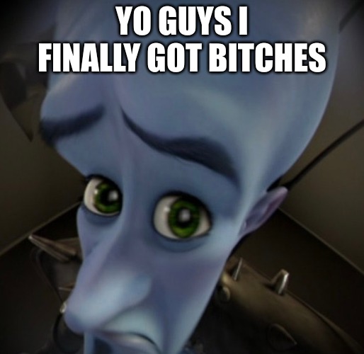 No Bitches? | YO GUYS I FINALLY GOT BITCHES | image tagged in no bitches | made w/ Imgflip meme maker