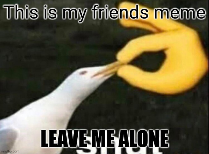 SHUT | This is my friends meme LEAVE ME ALONE | image tagged in shut | made w/ Imgflip meme maker
