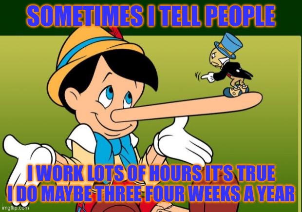 Liar | SOMETIMES I TELL PEOPLE; I WORK LOTS OF HOURS IT’S TRUE I DO MAYBE THREE FOUR WEEKS A YEAR | image tagged in liar | made w/ Imgflip meme maker