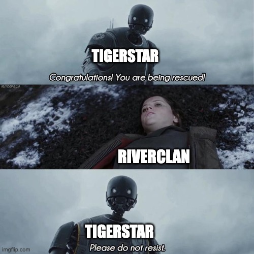 Basically Tigerstar for the entirety of Shadow | TIGERSTAR; RIVERCLAN; TIGERSTAR | image tagged in warrior cats,riverclan,congratulations you are being rescued please do not resist | made w/ Imgflip meme maker
