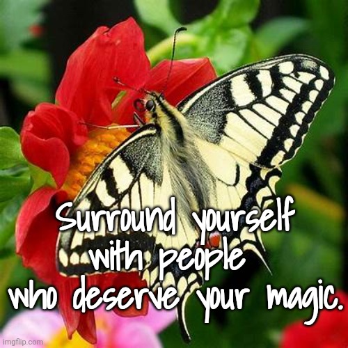 Surround yourself... | Surround yourself with people 
who deserve your magic. | image tagged in words of wisdom,positive thinking | made w/ Imgflip meme maker