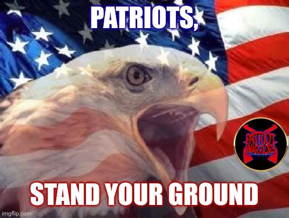 Patriotic Eagle | PATRIOTS, STAND YOUR GROUND | image tagged in patriotic eagle | made w/ Imgflip meme maker
