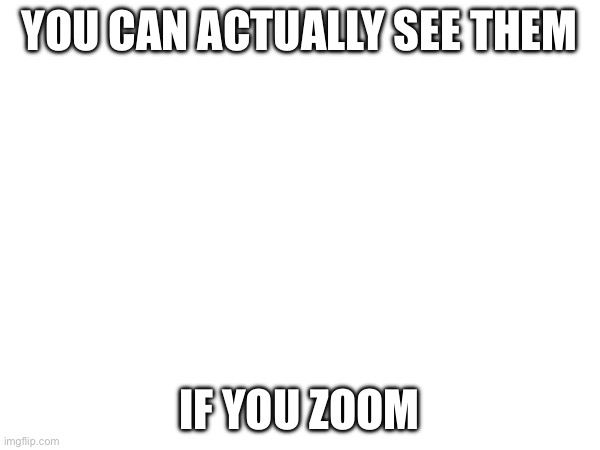 YOU CAN ACTUALLY SEE THEM IF YOU ZOOM | made w/ Imgflip meme maker