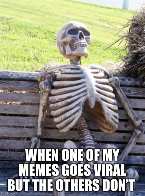 What do they want? | WHEN ONE OF MY MEMES GOES VIRAL BUT THE OTHERS DON’T | image tagged in memes,waiting skeleton | made w/ Imgflip meme maker