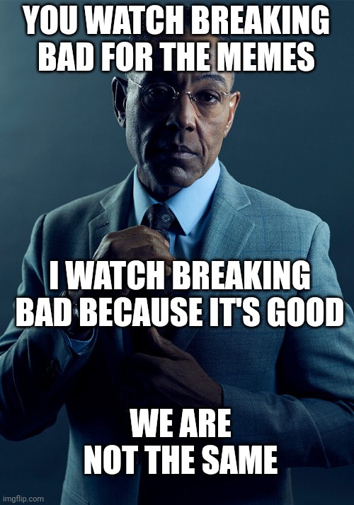 Gustavo fring we are not the same | YOU WATCH BREAKING BAD FOR THE MEMES; I WATCH BREAKING BAD BECAUSE IT'S GOOD; WE ARE NOT THE SAME | image tagged in gus fring we are not the same | made w/ Imgflip meme maker