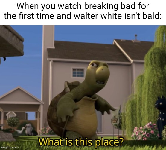 "Not like in the memes..." -New breaking bad watcher | When you watch breaking bad for the first time and walter white isn't bald: | image tagged in what is this place | made w/ Imgflip meme maker