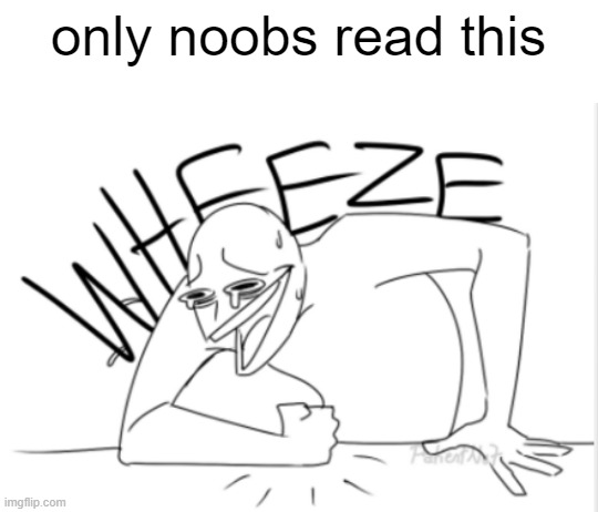 haha | only noobs read this | image tagged in wheeze,funny,fun,memes,trolled,noob | made w/ Imgflip meme maker