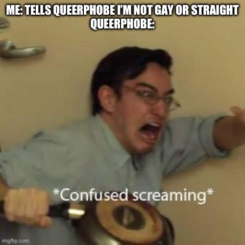filthy frank confused scream | ME: TELLS QUEERPHOBE I’M NOT GAY OR STRAIGHT
QUEERPHOBE: | image tagged in filthy frank confused scream | made w/ Imgflip meme maker