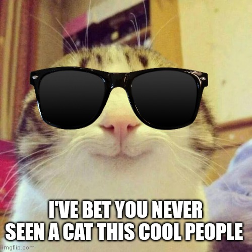 Cool cat | I'VE BET YOU NEVER SEEN A CAT THIS COOL PEOPLE | image tagged in memes,smiling cat,funny memes,memecat | made w/ Imgflip meme maker