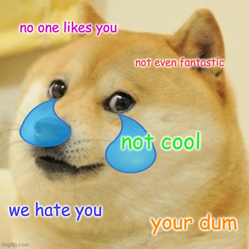 sad doge | no one likes you; not even fantastic; not cool; we hate you; your dum | image tagged in memes,doge | made w/ Imgflip meme maker