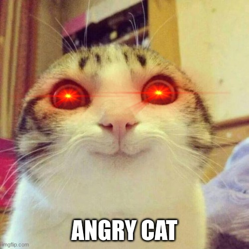 Mem från Abdul spindel | ANGRY CAT | image tagged in memes,smiling cat | made w/ Imgflip meme maker