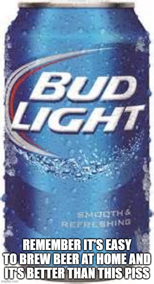 Bud Light Beer | REMEMBER IT'S EASY TO BREW BEER AT HOME AND IT'S BETTER THAN THIS PISS | image tagged in bud light beer | made w/ Imgflip meme maker