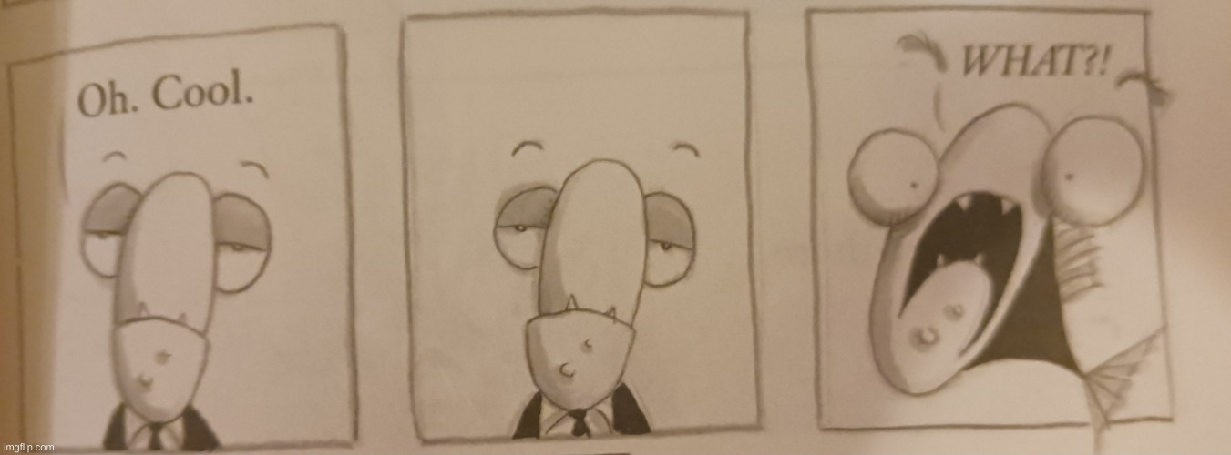 Oh. Cool. What?! | image tagged in oh cool what | made w/ Imgflip meme maker