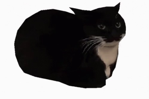 maxwell Blank Meme Template