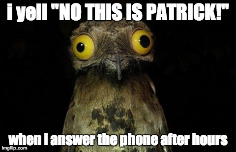 Weird Stuff I Do Potoo Meme | i yell "NO THIS IS PATRICK!" when i answer the phone after hours | image tagged in memes,weird stuff i do potoo | made w/ Imgflip meme maker