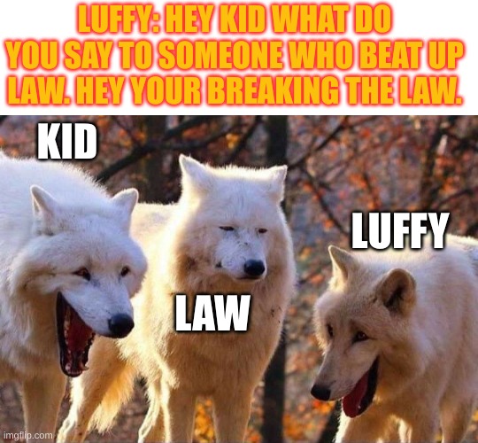 Laughing wolf | LUFFY: HEY KID WHAT DO YOU SAY TO SOMEONE WHO BEAT UP LAW. HEY YOUR BREAKING THE LAW. KID; LUFFY; LAW | image tagged in laughing wolf | made w/ Imgflip meme maker