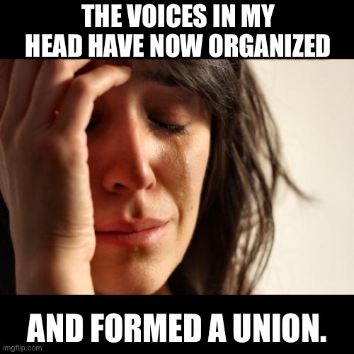 Unions | THE VOICES IN MY HEAD HAVE NOW ORGANIZED; AND FORMED A UNION. | image tagged in memes,first world problems,dad joke | made w/ Imgflip meme maker