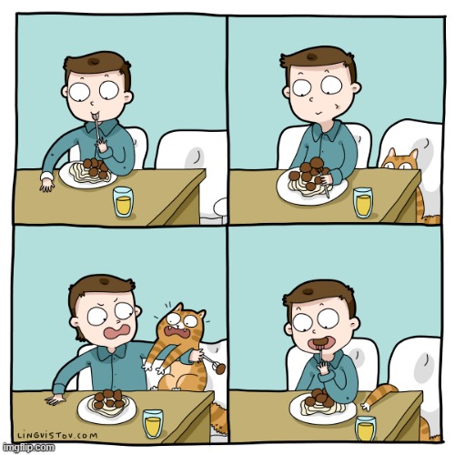 A Cat Guy's Way Of Thinking | image tagged in memes,comics/cartoons,guy,eating,cats,do you need help | made w/ Imgflip meme maker