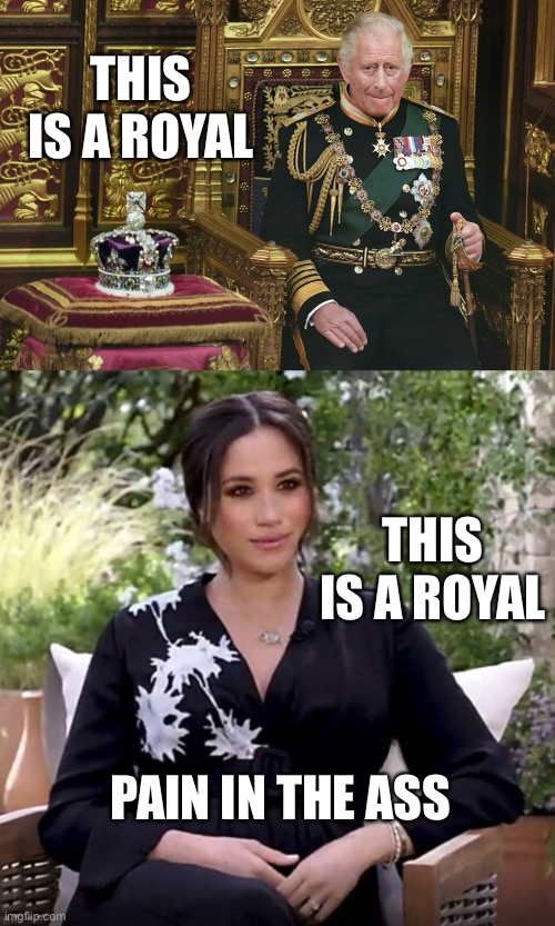 Oh, she wants to be a Royal, all right. A royal PITA. | THIS IS A ROYAL; THIS IS A ROYAL; PAIN IN THE ASS | image tagged in king charles iii,megan markle oprah,royal pain | made w/ Imgflip meme maker