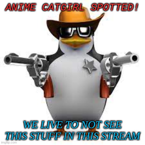 NO ANIME CATGIRLS ALLOWED | ANIME CATGIRL SPOTTED! WE LIVE TO NOT SEE THIS STUFF IN THIS STREAM | image tagged in no anime penguin | made w/ Imgflip meme maker