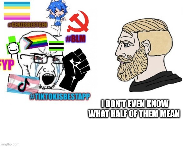 I don't know then | I DON'T EVEN KNOW WHAT HALF OF THEM MEAN | image tagged in average liberal vs chad outdated,memes,chad | made w/ Imgflip meme maker