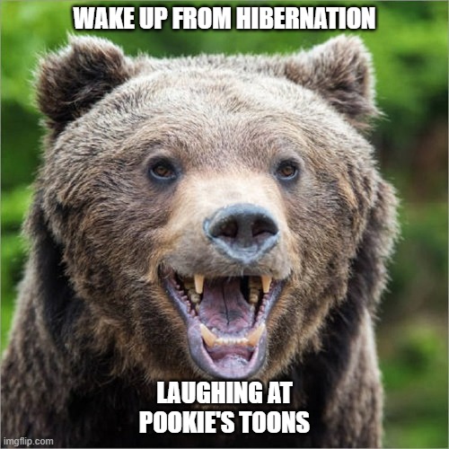 laughing bear | WAKE UP FROM HIBERNATION; LAUGHING AT POOKIE'S TOONS | image tagged in laughing bear | made w/ Imgflip meme maker