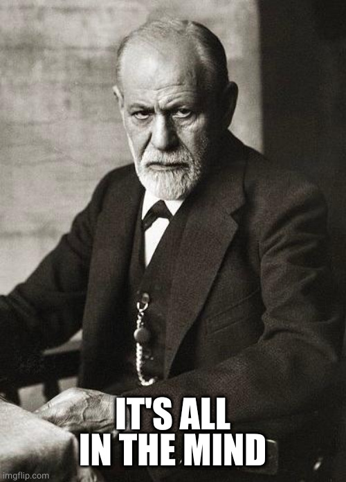 Freud | IT'S ALL IN THE MIND | image tagged in freud | made w/ Imgflip meme maker