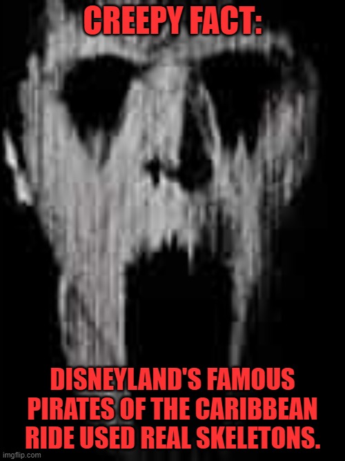 Meme #55 (2023) | CREEPY FACT:; DISNEYLAND'S FAMOUS PIRATES OF THE CARIBBEAN RIDE USED REAL SKELETONS. | image tagged in creepy,why,imgflip | made w/ Imgflip meme maker
