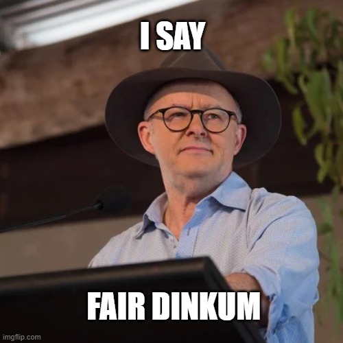 Anthony Albanese at Garma Festival | I SAY; FAIR DINKUM | image tagged in anthony albanese at garma festival | made w/ Imgflip meme maker