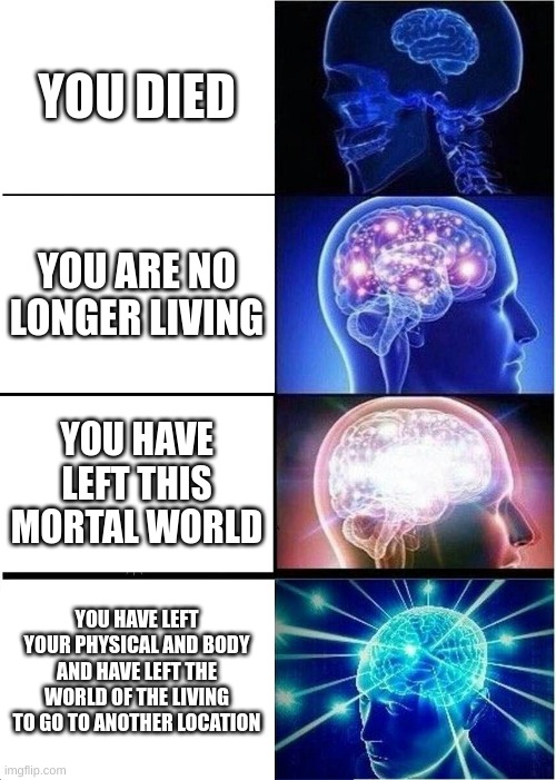 BRUH | YOU DIED; YOU ARE NO LONGER LIVING; YOU HAVE LEFT THIS MORTAL WORLD; YOU HAVE LEFT YOUR PHYSICAL AND BODY AND HAVE LEFT THE WORLD OF THE LIVING TO GO TO ANOTHER LOCATION | image tagged in memes,expanding brain | made w/ Imgflip meme maker