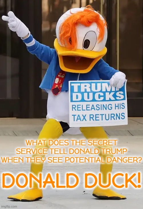 DONALD! DUCK!!! | DONALD DUCK! WHAT DOES THE SECRET SERVICE TELL DONALD TRUMP WHEN THEY SEE POTENTIAL DANGER? | image tagged in donald duck,tax evasion,secret service,criminal,danger,joke | made w/ Imgflip meme maker
