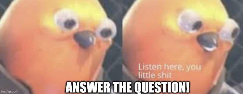 Listen here you little shit bird | ANSWER THE QUESTION! | image tagged in listen here you little shit bird | made w/ Imgflip meme maker