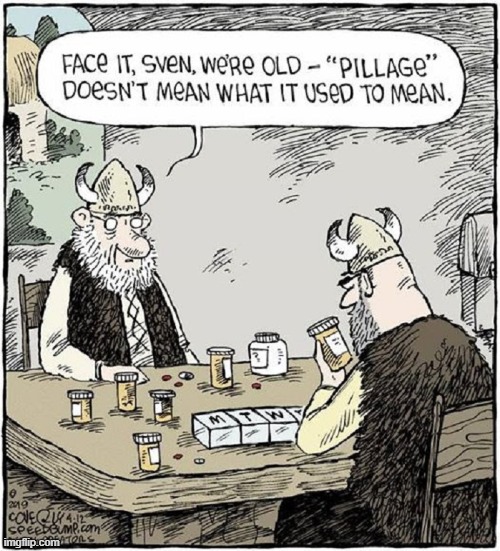 Pillage. n. keeping track of your medications | image tagged in vince vance,pills,medications,memes,comics/cartoons,vikings | made w/ Imgflip meme maker
