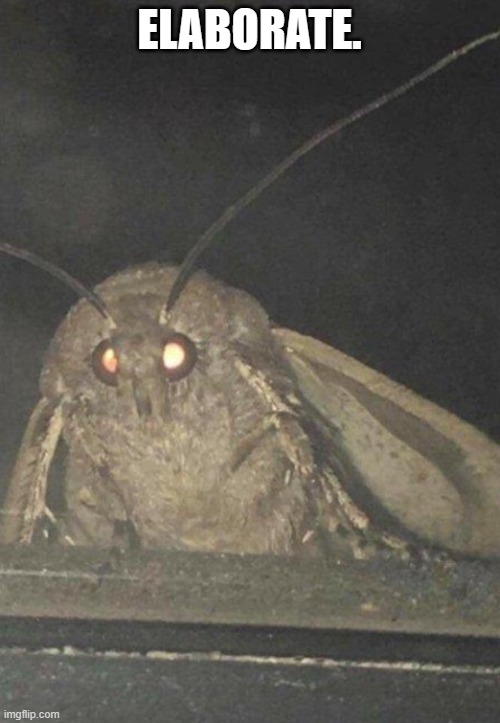 Moth | ELABORATE. | image tagged in moth | made w/ Imgflip meme maker