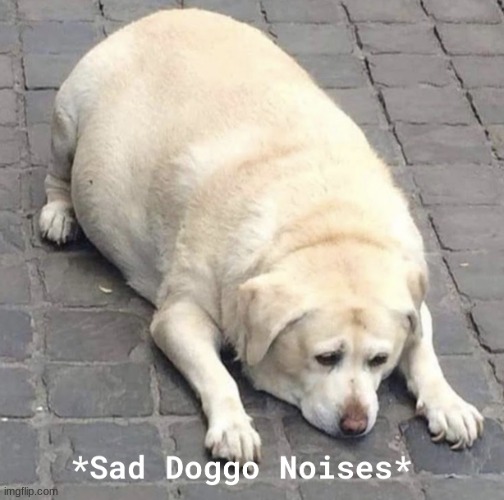 Sad Doggo Noises | image tagged in sad doggo noises | made w/ Imgflip meme maker