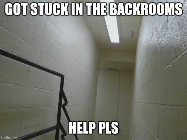 GOT STUCK IN THE BACKROOMS; HELP PLS | made w/ Imgflip meme maker