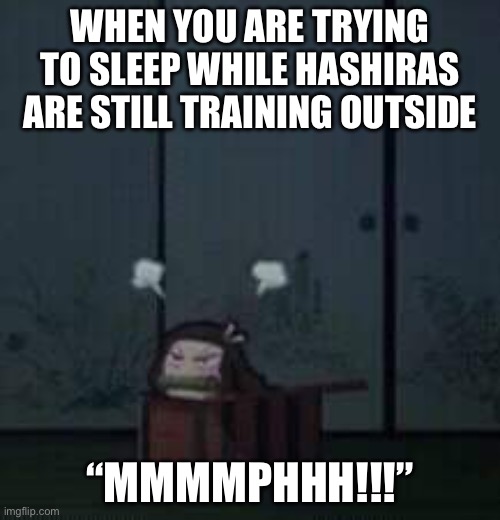 Demon Slayer Nezuko | WHEN YOU ARE TRYING TO SLEEP WHILE HASHIRAS ARE STILL TRAINING OUTSIDE; “MMMMPHHH!!!” | image tagged in demon slayer nezuko | made w/ Imgflip meme maker