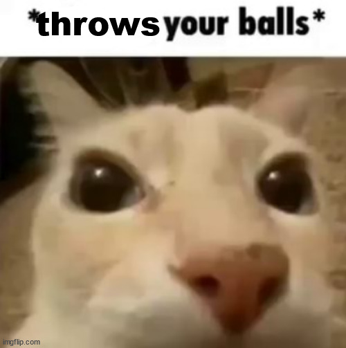 X your balls | throws | image tagged in x your balls | made w/ Imgflip meme maker