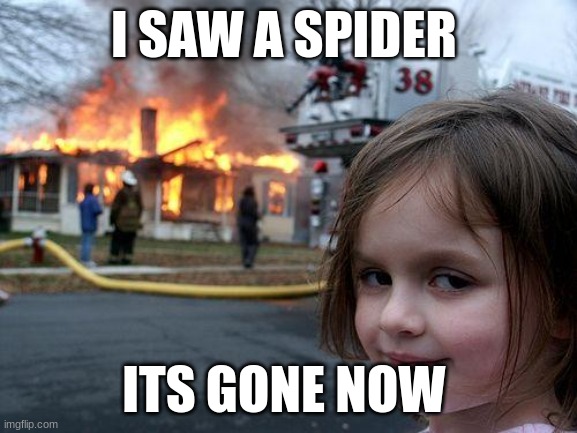 Disaster Girl Meme | I SAW A SPIDER; ITS GONE NOW | image tagged in memes,disaster girl | made w/ Imgflip meme maker