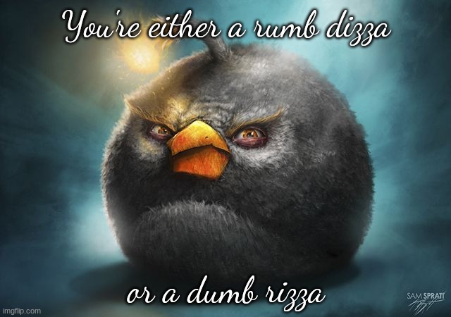 angry birds bomb | You're either a rumb dizza; or a dumb rizza | image tagged in angry birds bomb | made w/ Imgflip meme maker