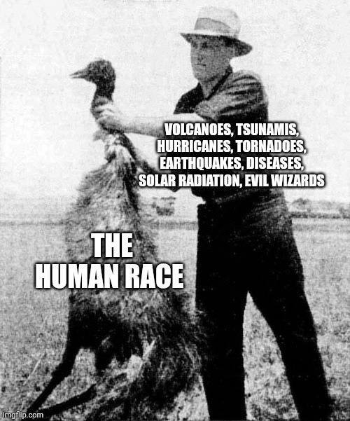 There's a lot of things that can kill us | VOLCANOES, TSUNAMIS, HURRICANES, TORNADOES, EARTHQUAKES, DISEASES, SOLAR RADIATION, EVIL WIZARDS; THE HUMAN RACE | image tagged in great emu war | made w/ Imgflip meme maker
