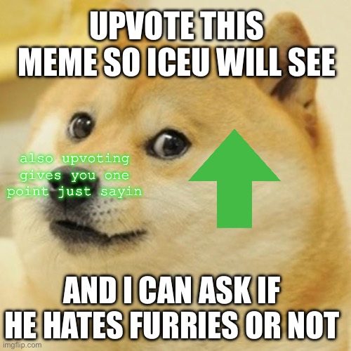 pls iceu if you see this tell me if you hate furries or not | UPVOTE THIS MEME SO ICEU WILL SEE; also upvoting gives you one point just sayin; AND I CAN ASK IF HE HATES FURRIES OR NOT | image tagged in memes,doge | made w/ Imgflip meme maker