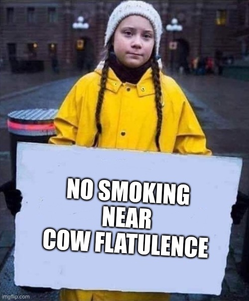 Greta | NO SMOKING NEAR COW FLATULENCE | image tagged in greta | made w/ Imgflip meme maker