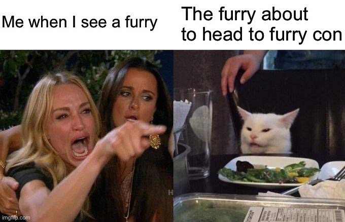 When I see a furry | Me when I see a furry; The furry about to head to furry con | image tagged in memes,woman yelling at cat,funny,funny memes,fun,funny meme | made w/ Imgflip meme maker